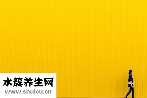 刺蒺藜的功效與作用