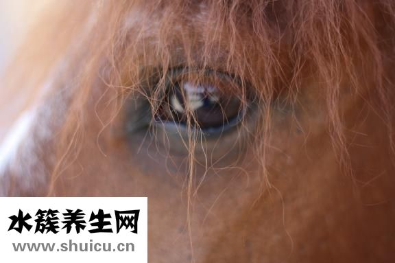 什么洗頭膏好用