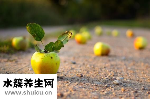 手肘黑怎么變白