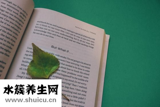 女性盆骨位置圖