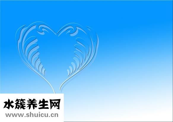 心臟構(gòu)造圖