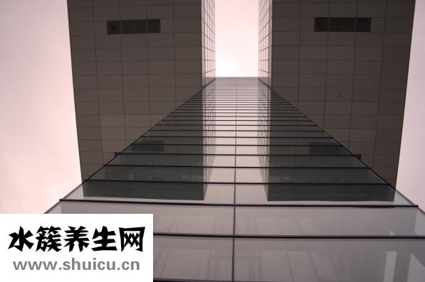 手掌對應五臟六腑圖