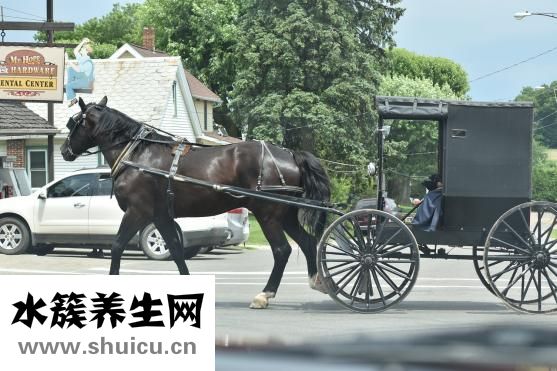 晚上可以吃橙子嗎