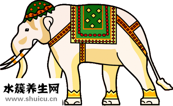 扁桃體結石清理