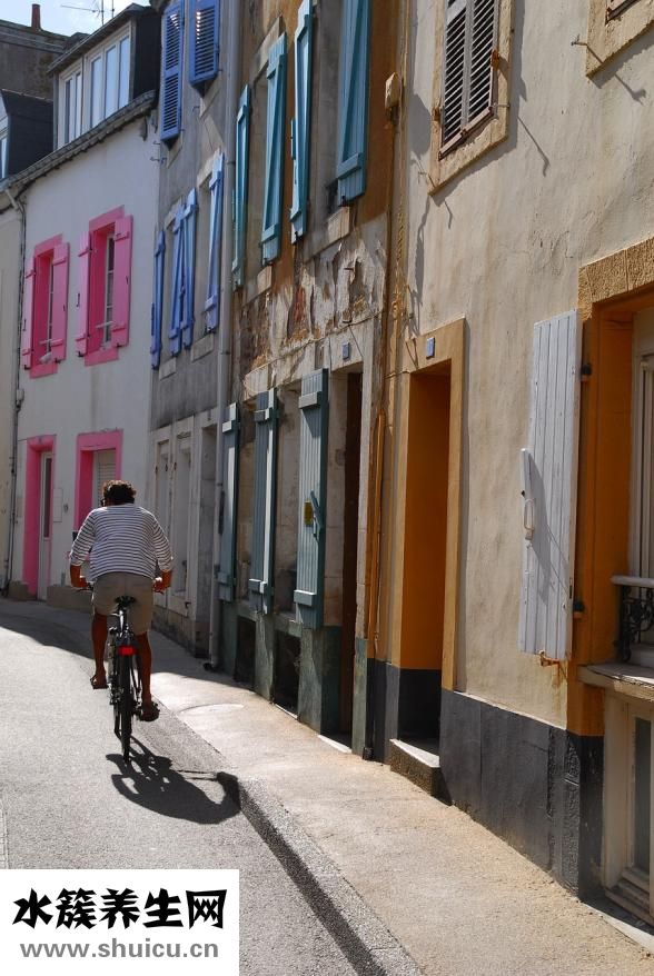 心臟血管分布圖