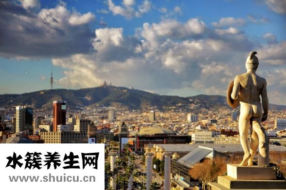 圓肉的功效與作用