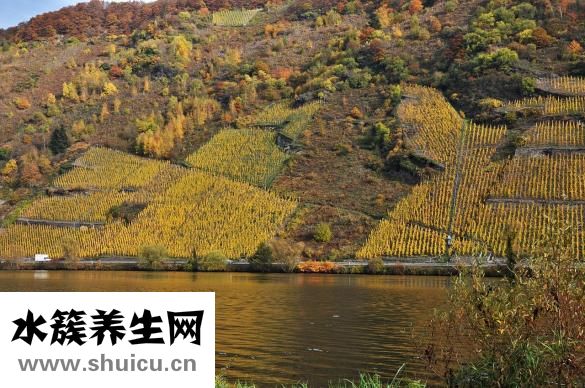 夜尿多是什么原因