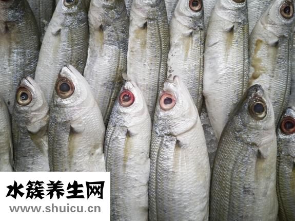 孕婦可以吃田雞嗎