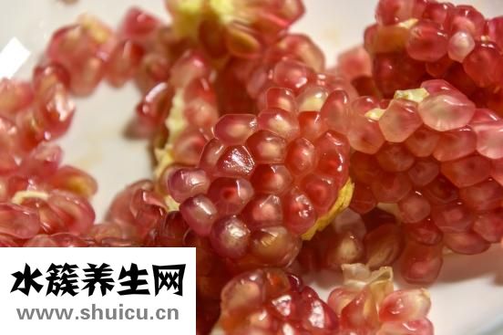 土豆是根還是莖