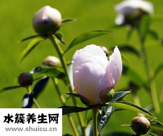 感冒能不能跑步