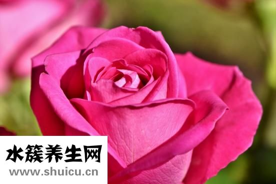 什么是陽光抑郁癥