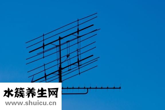 孕婦能吃魚腥草嗎