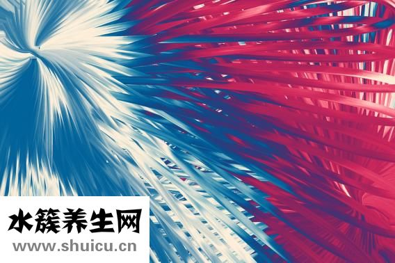 晚上喝豆?jié){好嗎