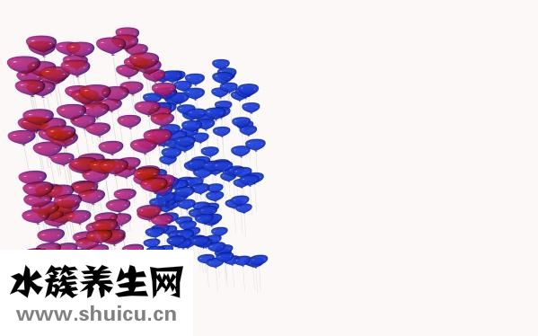 一個雞蛋大概多少克