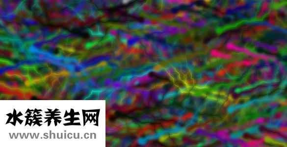 一個雞蛋大概多少克