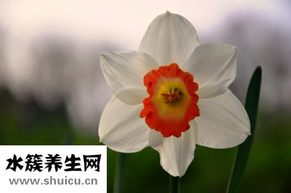 怎樣快速提高成績