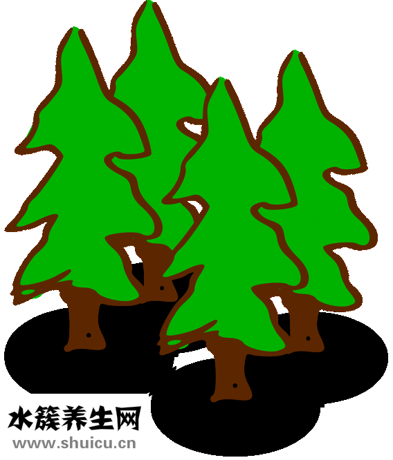 烏魚子是什么東西