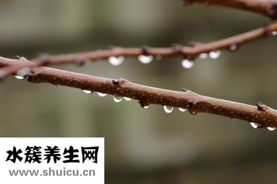 怎么去除體內(nèi)濕氣