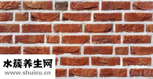 怎么瘦腿最快最有效