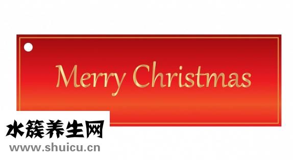 心肌酶怎么檢查