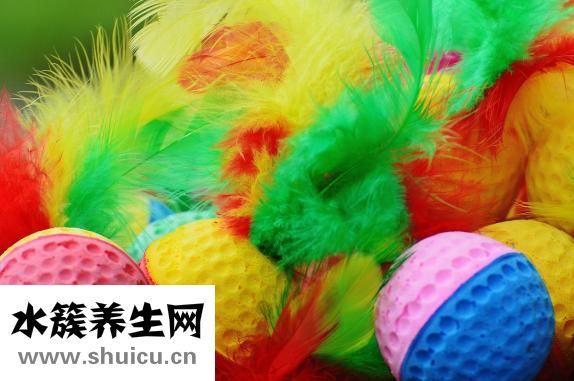 孕婦能不能吃枸杞