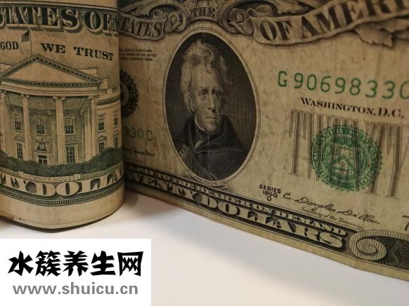 一個肉包子的熱量