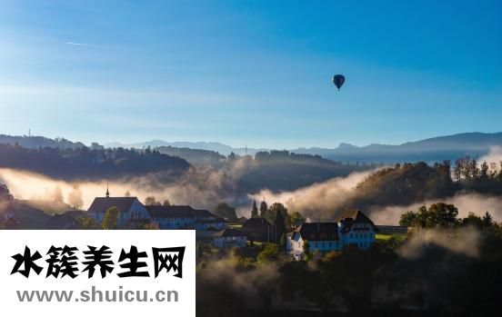 孕婦能不能吃枸杞