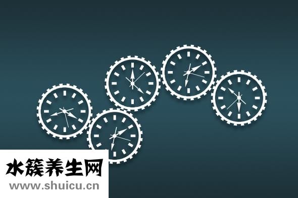 一個肉包子的熱量