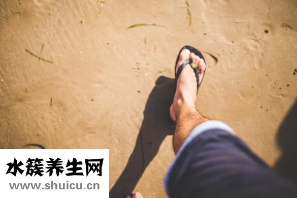 墨旱蓮的功效與作用