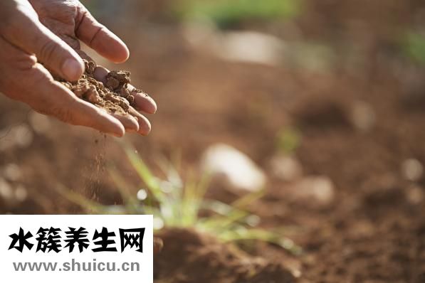 升血小板的藥有哪些