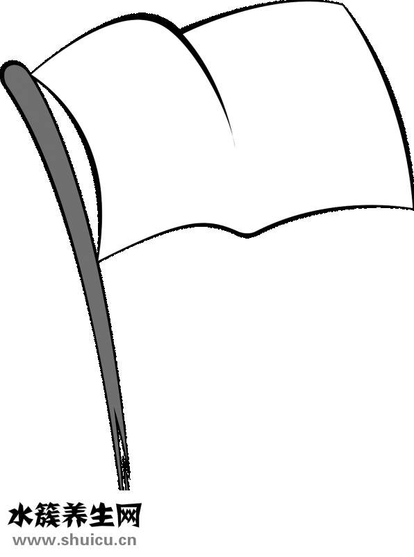 中性粒細胞偏低