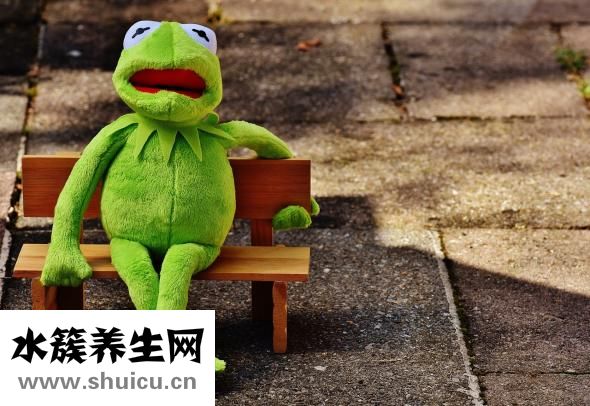 一吃東西就想吐