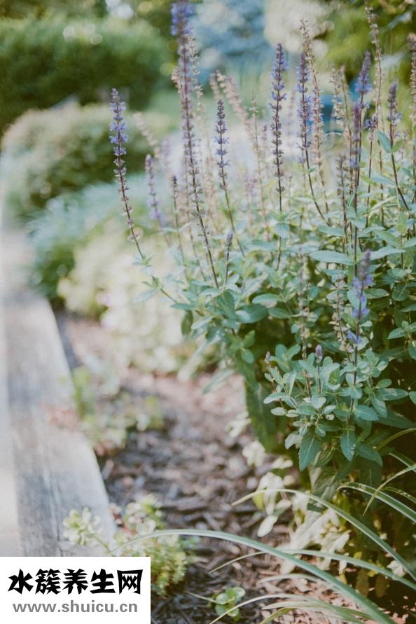 什么是內(nèi)分泌失調(diào)