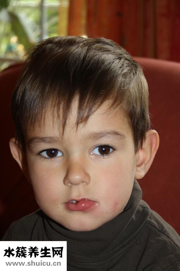 小孩能吃燕窩嗎