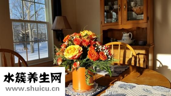 先兆性流產的原因