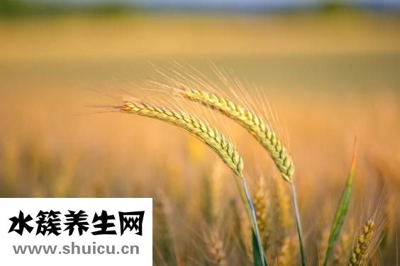 頭疼想吐是什么原因