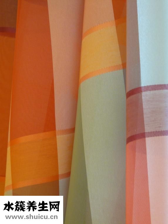 中性粒細胞偏低