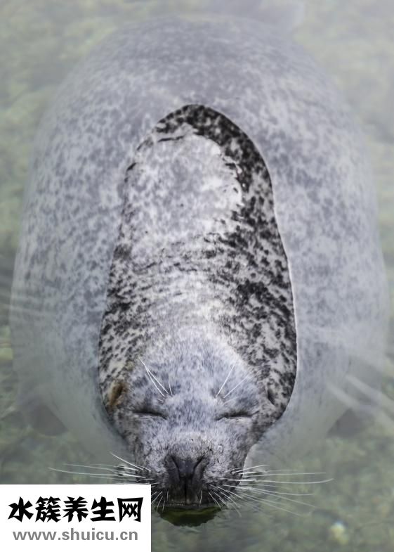 學(xué)生肌肉腿怎么瘦腿