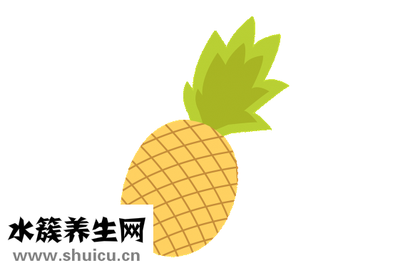 孕婦可以吃西梅嗎