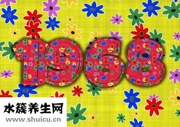 孕婦能不能吃荔枝