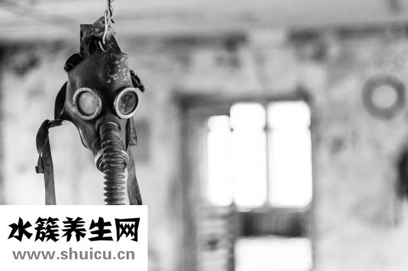 仙人掌可以防輻射嗎