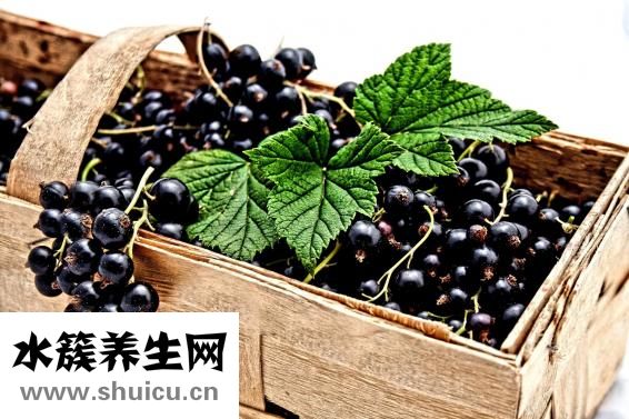 孕婦能吃龍眼嗎