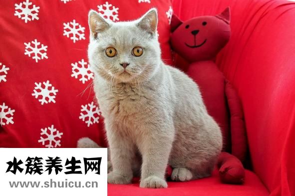 醫學食療與健康