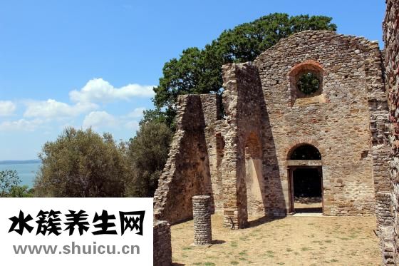 孕婦可以吃西梅嗎