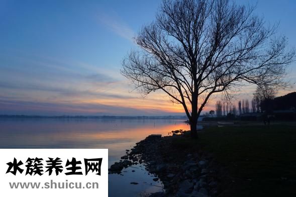 孕婦可以吃西梅嗎