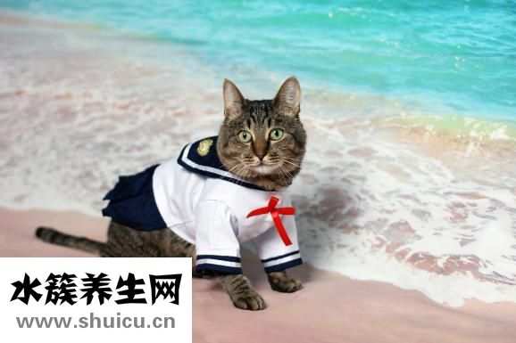 四價疫苗注意事項