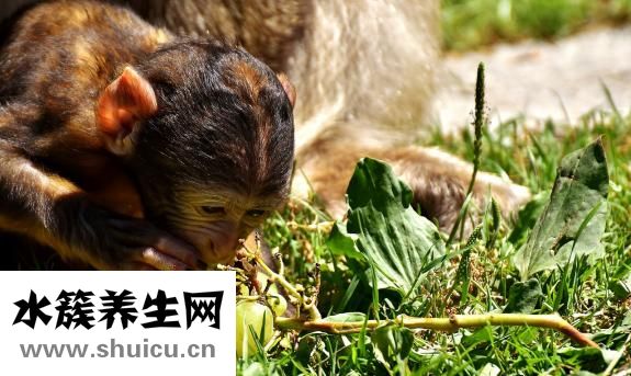 孩子幾歲開始說話