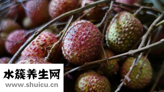 孕婦能不能吃荔枝