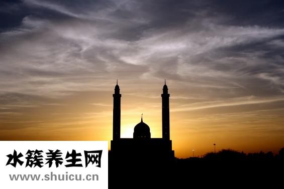 五皮風的功效與作用