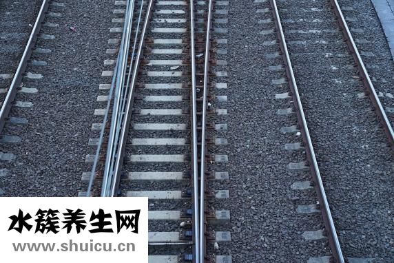 割雙眼皮的失敗